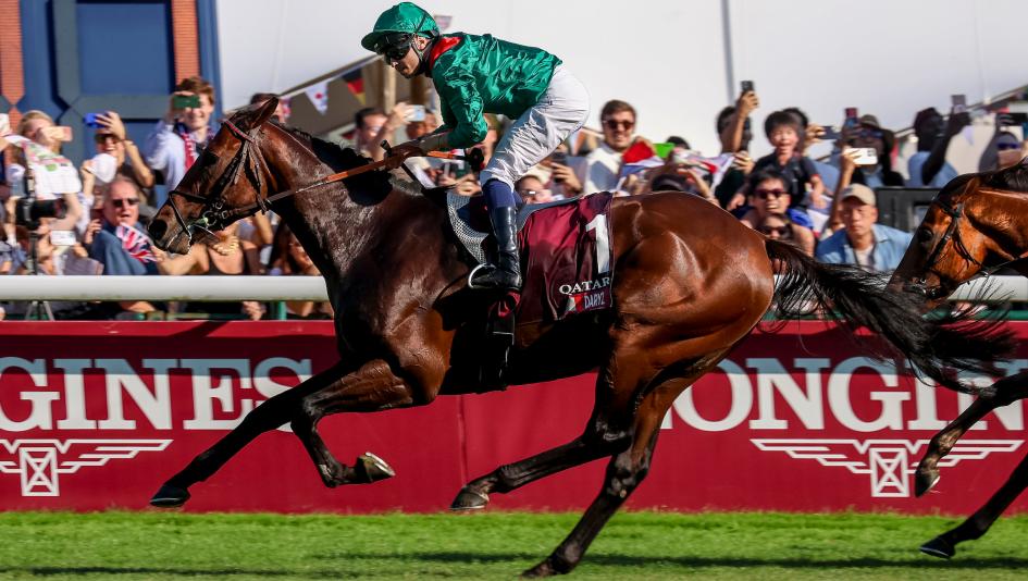 Daryz, Prix de l’Arc de Triomphe, Longchamp, horse racing, America's Best Racing, ABR